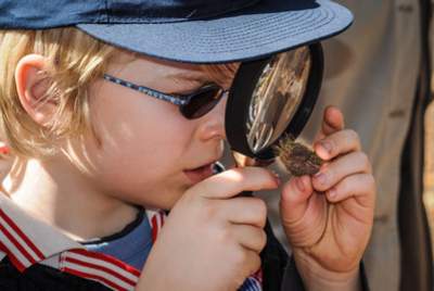 Junior-Ranger - Kinder erforschen mit der Lupe die Natur | © Regio-Ranger®